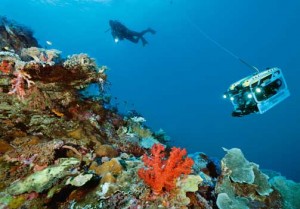 Photograph by Brian Skerry A diver explores a shallow, coral encrusted seamount slope near Raja Ampat, Indonesia; the remotely operated vehicle can descend to survey deeper reaches Photograph by Brian Skerry A diver explores a shallow coral encrusted seamount slope near Raja Ampat Indonesia the remotely operated vehicle can descend to survey deeper reaches 300x209 Photograph by Brian Skerry A diver explores a shallow, coral encrusted seamount slope near Raja Ampat, Indonesia; the remotely operated vehicle can descend to survey deeper reaches