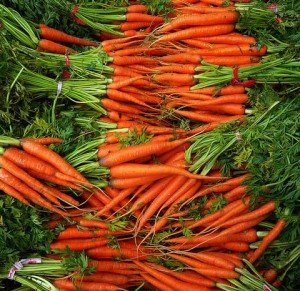 carrots farmers market on Vancouver Island orange 300x291 carrots farmers market on Vancouver Island orange