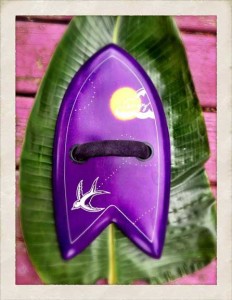handplane enjoy purple bird seagull green leaf bodysurfing handplane enjoy purple bird seagull green leaf bodysurfing 232x300 handplane enjoy purple bird seagull green leaf bodysurfing