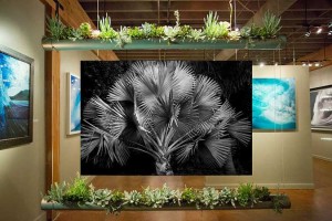 Aaron Chang Ocean Art Gallery Eco Art hanging gardens 300x200 Aaron Chang Ocean Art Gallery Eco Art hanging gardens