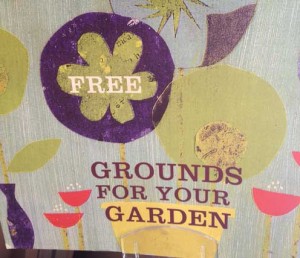 free coffee grounds for your garden starbucks 300x258 free coffee grounds for your garden starbucks